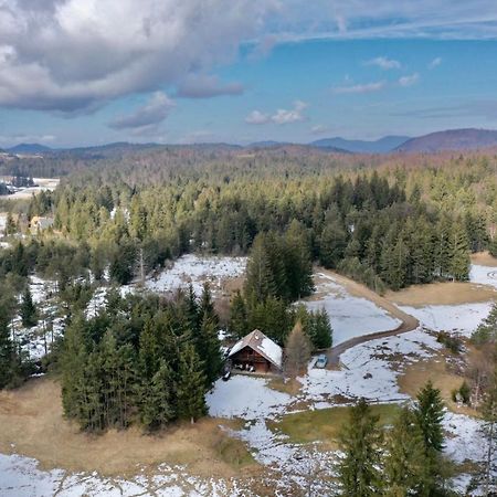 Cabin In Nature Nova Vas  エクステリア 写真