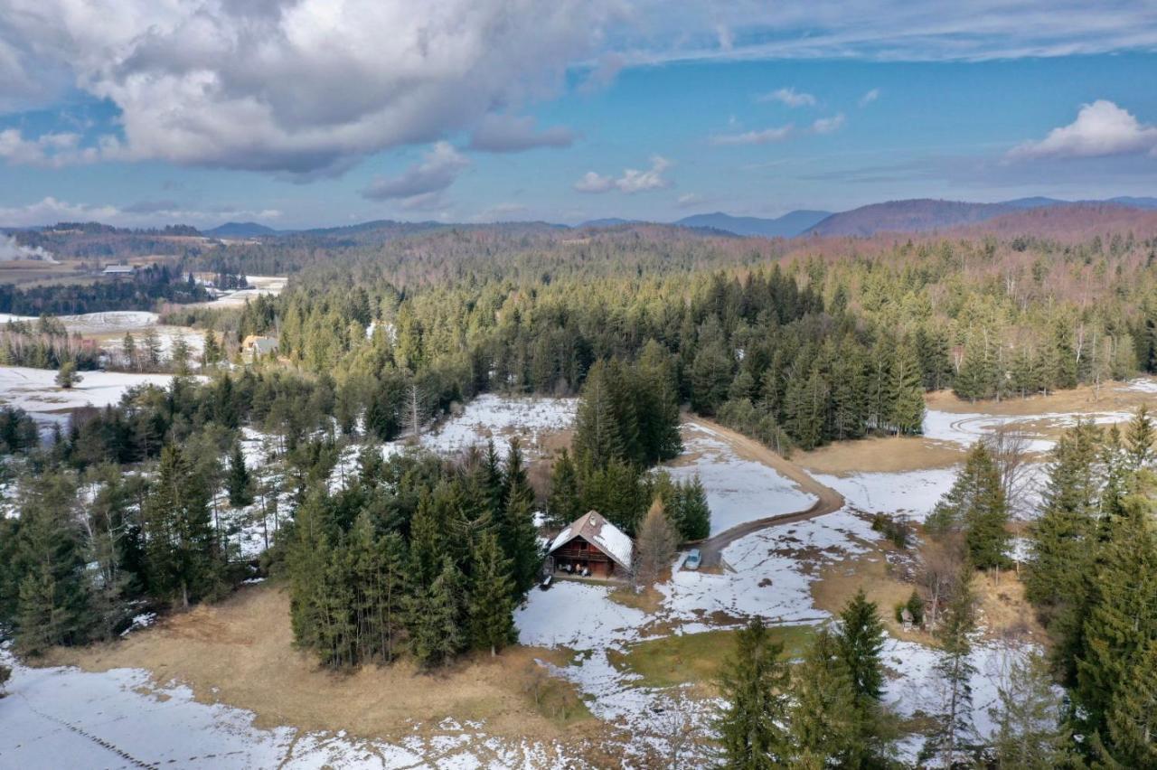 Cabin In Nature Nova Vas  エクステリア 写真